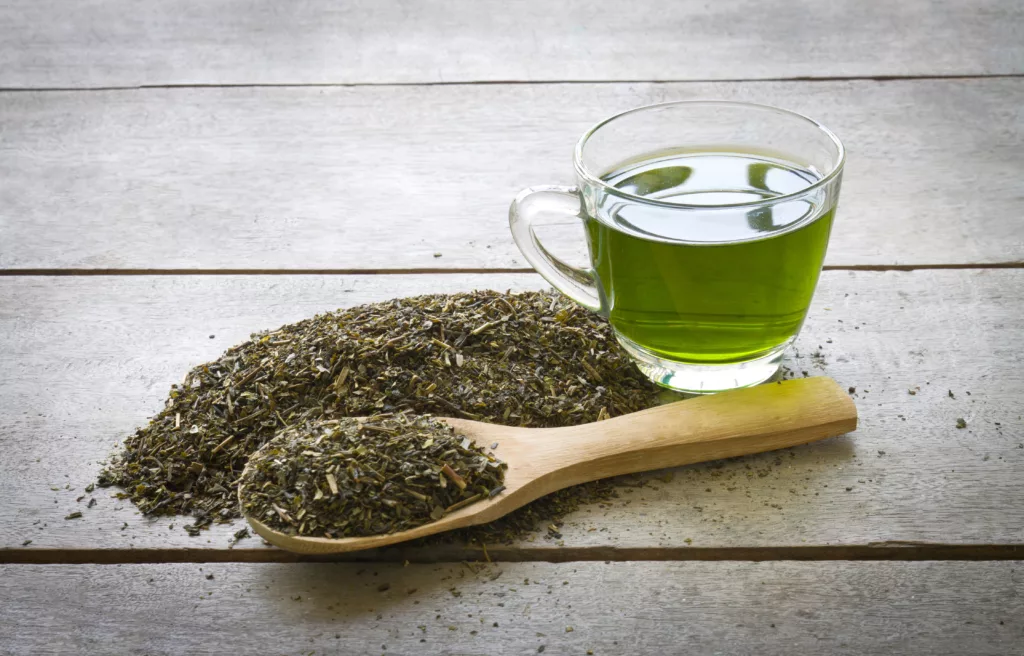 Naturopathie Thé vert Thé vert Japonais riche en polyphénols et en EGCG (Epigallo catéchine gallate)pour prendre soin de soi de manière naturelle