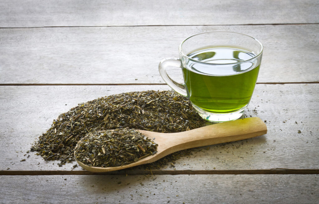 Thé vert Japonais riche en polyphénols et en EGCG (Epigallo catéchine gallate)pour prendre soin de soi de manière naturelle
